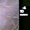 Film still from 